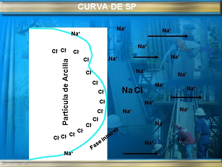 CURVA DE SP Na+ Cl- Partícula de Arcilla Cl- Cl - Na+ Cl- Na+