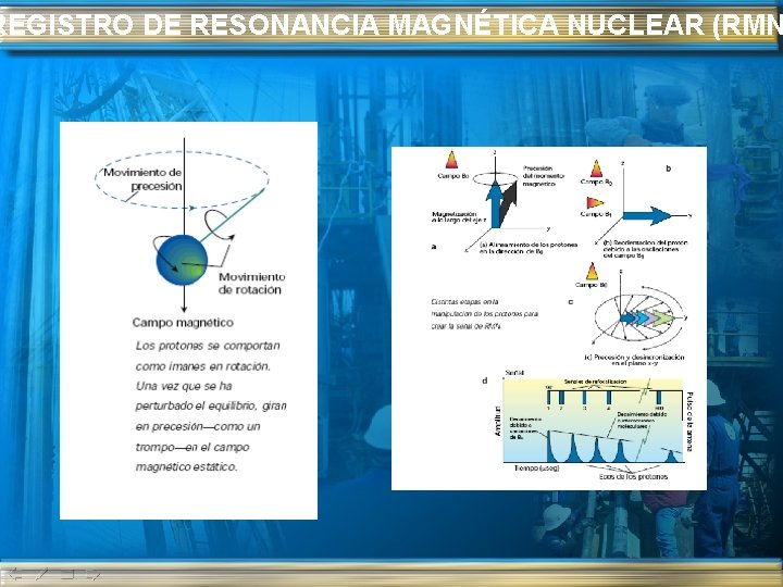 REGISTRO DE RESONANCIA MAGNÉTICA NUCLEAR (RMN 