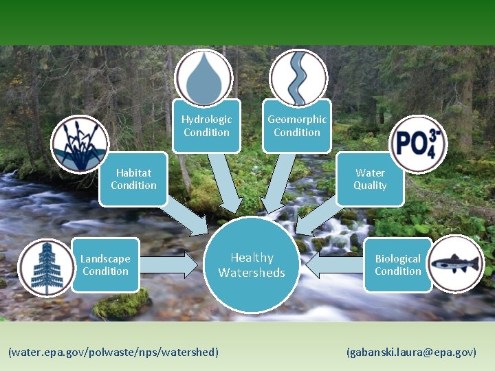 Hydrologic Condition Geomorphic Condition Habitat Condition Landscape Condition Water Quality Healthy Watersheds (water. epa.