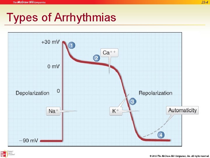 23 -4 Types of Arrhythmias © 2012 The Mc. Graw-Hill Companies, Inc. All rights