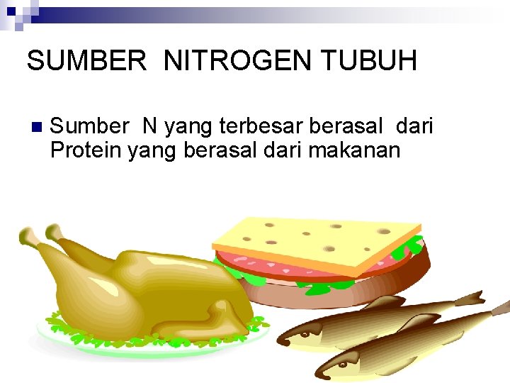 SUMBER NITROGEN TUBUH n Sumber N yang terbesar berasal dari Protein yang berasal dari