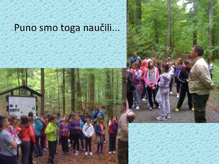 Puno smo toga naučili. . . 