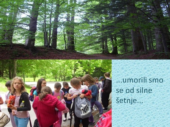 . . . umorili smo se od silne šetnje. . . 
