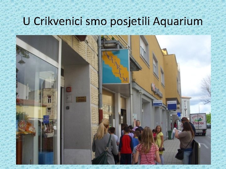 U Crikvenici smo posjetili Aquarium 