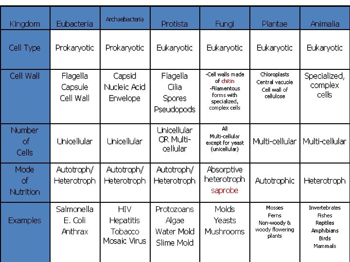 Kingdom Eubacteria Cell Type Prokaryotic Cell Wall Flagella Capsule Cell Wall Number of Cells Kingdom Eubacteria Cell Type Prokaryotic Cell Wall Flagella Capsule Cell Wall Number of Cells