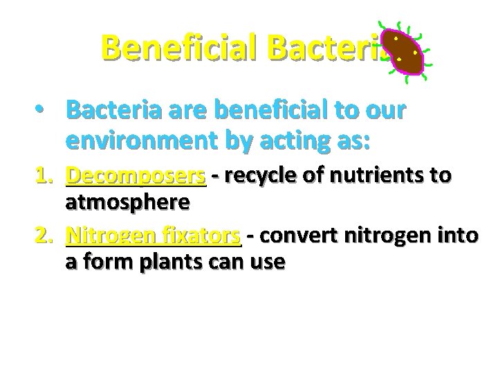 Beneficial Bacteria • Bacteria are beneficial to our environment by acting as: 1. Decomposers Beneficial Bacteria • Bacteria are beneficial to our environment by acting as: 1. Decomposers
