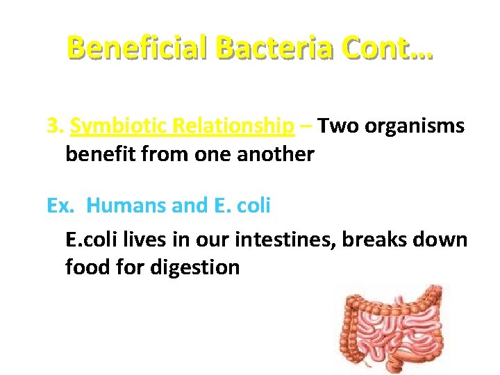 Beneficial Bacteria Cont… 3. Symbiotic Relationship – Two organisms benefit from one another Ex. Beneficial Bacteria Cont… 3. Symbiotic Relationship – Two organisms benefit from one another Ex.