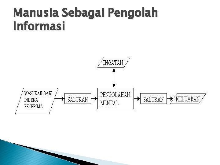 Manusia Sebagai Pengolah Informasi 