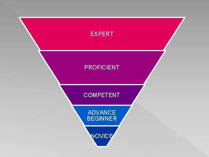 EXPERT PROFICIENT COMPETENT ADVANCE BEGINNER NOVICE 