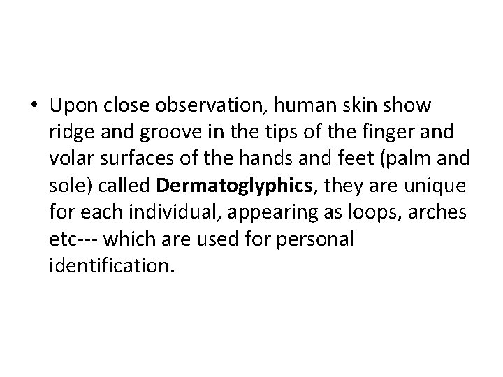  • Upon close observation, human skin show ridge and groove in the tips