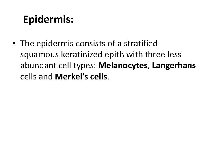 Epidermis: • The epidermis consists of a stratified squamous keratinized epith with three less