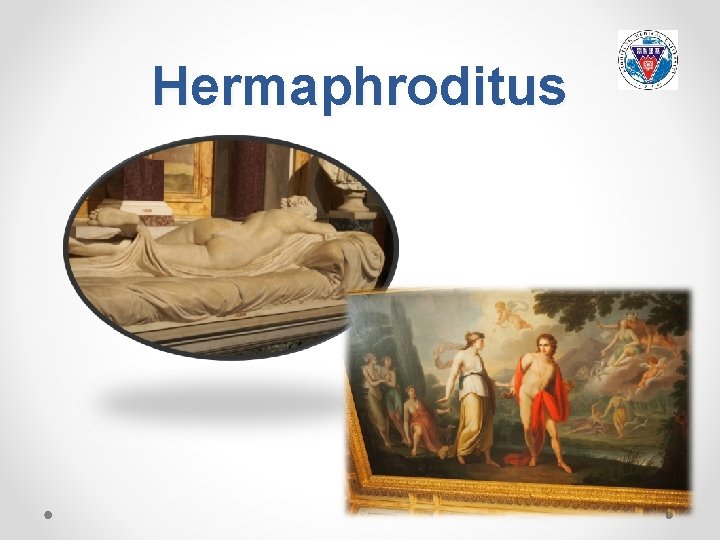 Hermaphroditus 