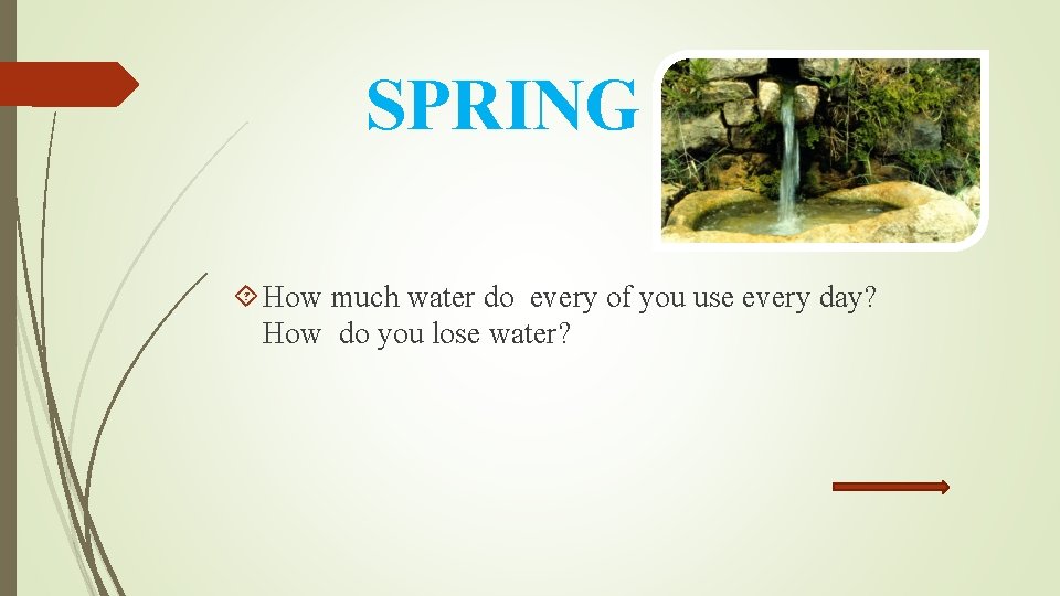 SPRING How much water do every of you use every day? How do you