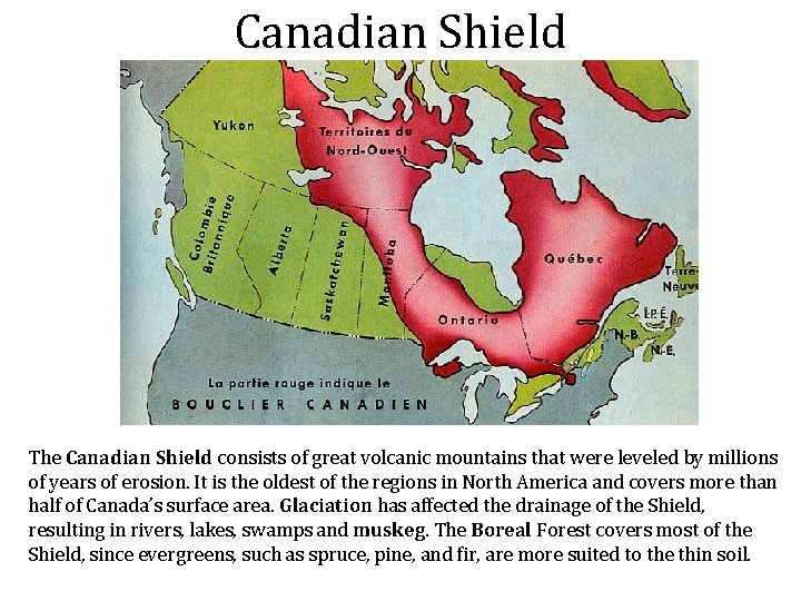 Canadian Shield The Canadian Shield consists of great volcanic mountains that were leveled by