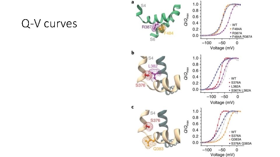 Q-V curves 