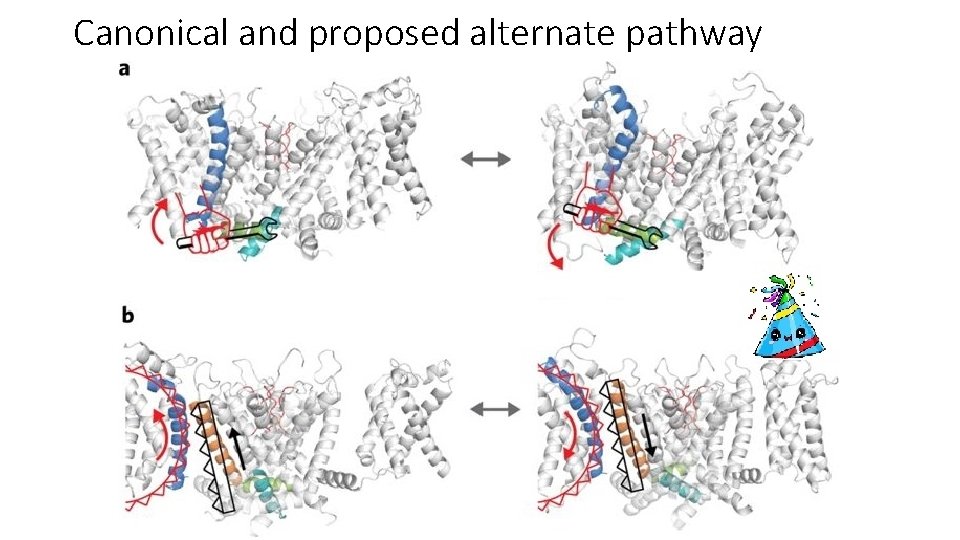 Canonical and proposed alternate pathway 