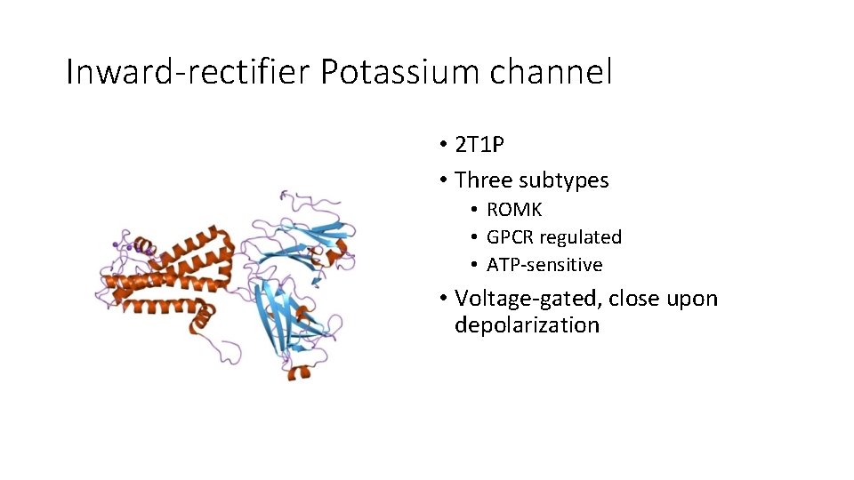 Inward-rectifier Potassium channel • 2 T 1 P • Three subtypes • ROMK •