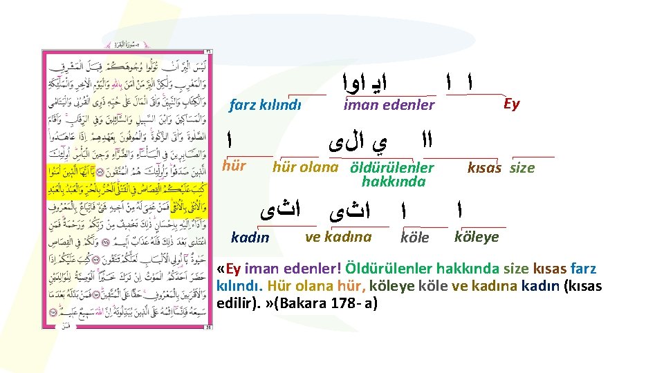 farz kılındı ﺍ ﺍﻳ ﺍﻭﺍ iman edenler hür olana öldürülenler hakkında ﺍﺙﻯ kadın ve