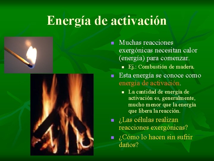 Energía de activación n Muchas reacciones exergónicas necesitan calor (energía) para comenzar. n n