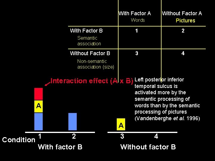 With Factor A With Factor B Words Without Factor A Pictures 1 2 3