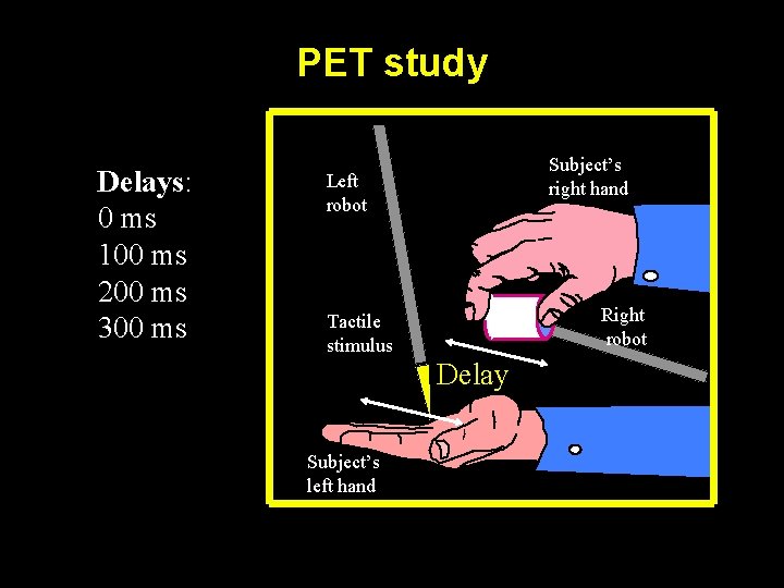 PET study Delays: 0 ms 100 ms 200 ms 300 ms Subject’s right hand