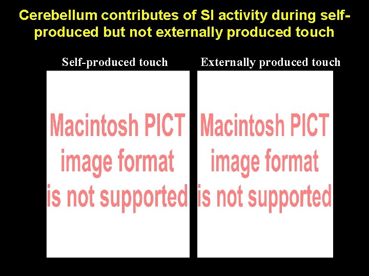 Cerebellum contributes of SI activity during selfproduced but not externally produced touch Self-produced touch