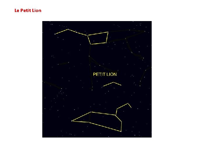 Le Petit Lion 