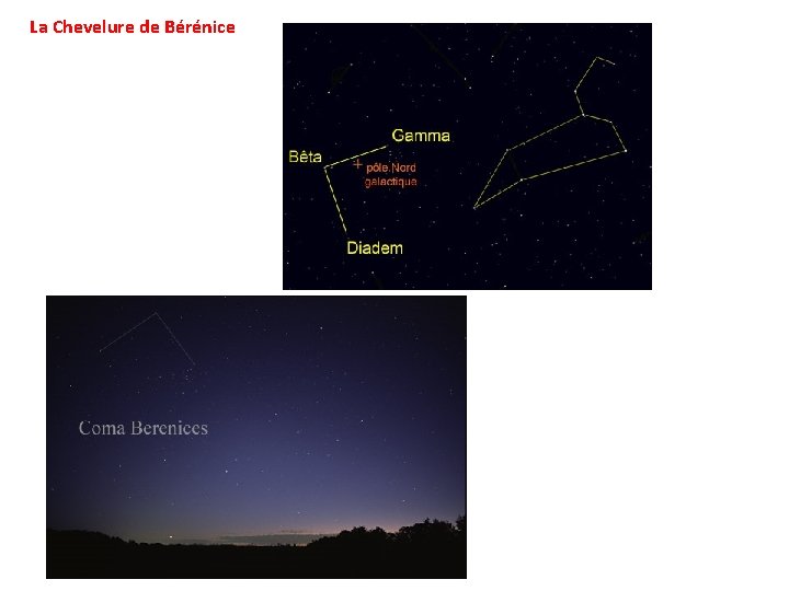 La Chevelure de Bérénice 