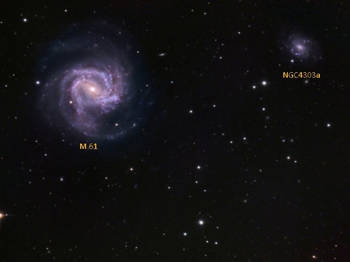 NGC 4303 a. M 61 