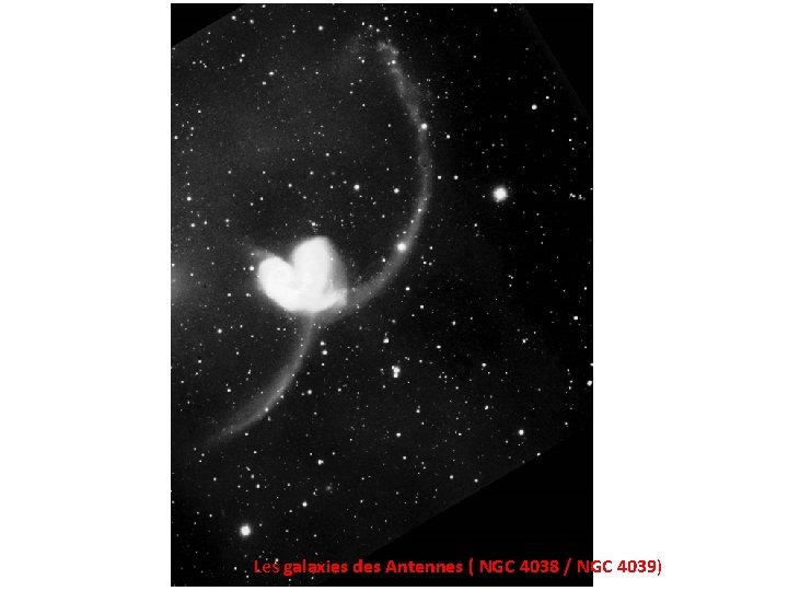 Les galaxies des Antennes ( NGC 4038 / NGC 4039) 