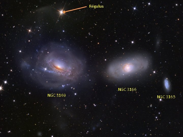 Régulus NGC 3166 NGC 3169 NGC 3165 