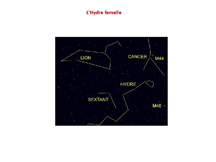 L'Hydre femelle 