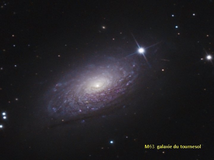 M 63 galaxie du tournesol 
