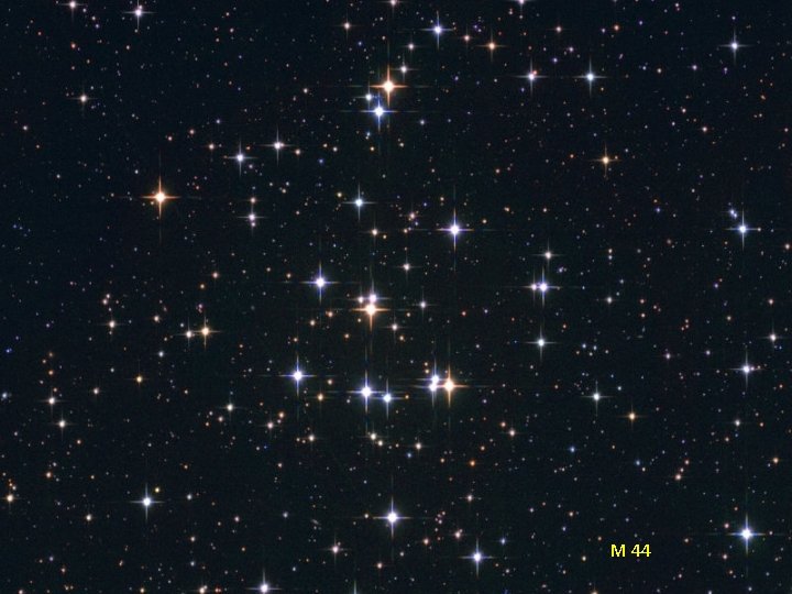 M 44 