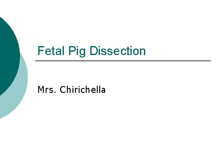 Fetal Pig Dissection Mrs. Chirichella 