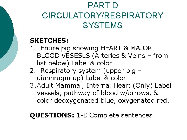 PART D CIRCULATORY/RESPIRATORY SYSTEMS SKETCHES: 1. Entire pig showing HEART & MAJOR BLOOD VESESLS