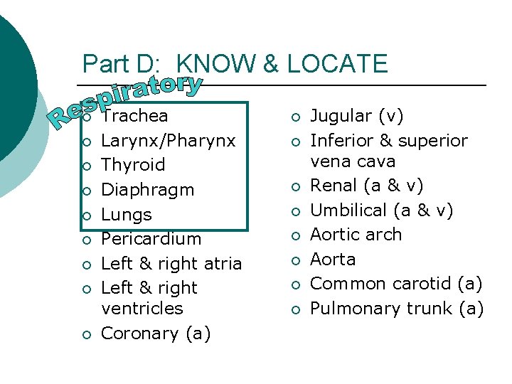 Part D: KNOW & LOCATE ¡ ¡ ¡ ¡ ¡ Trachea Larynx/Pharynx Thyroid Diaphragm