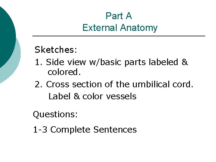 Part A External Anatomy Sketches: 1. Side view w/basic parts labeled & colored. 2.