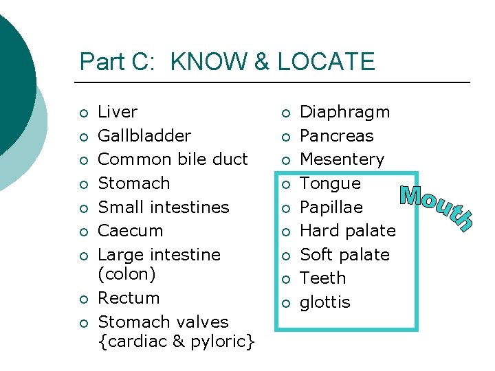 Part C: KNOW & LOCATE ¡ ¡ ¡ ¡ ¡ Liver Gallbladder Common bile