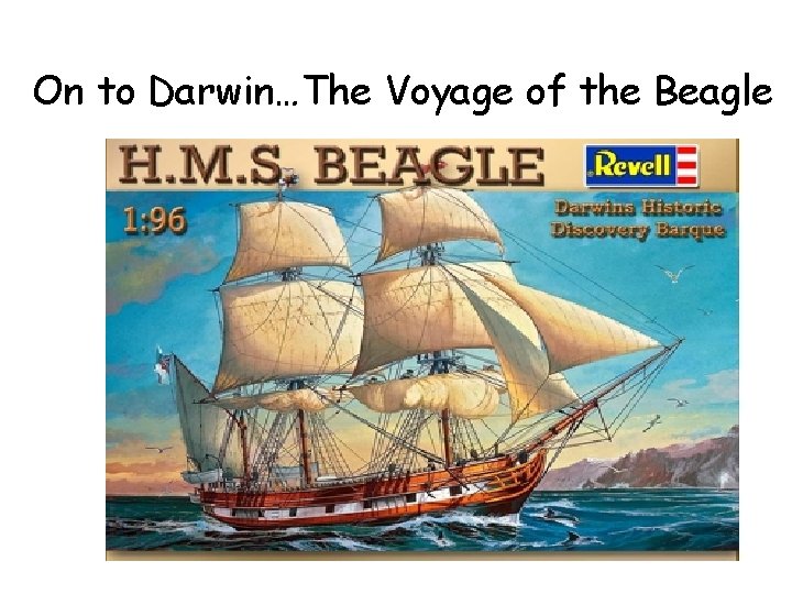 On to Darwin…The Voyage of the Beagle 