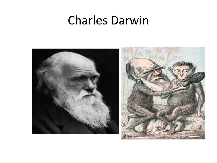 Charles Darwin 