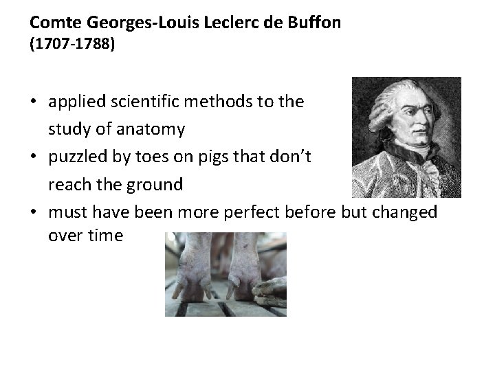 Comte Georges-Louis Leclerc de Buffon (1707 -1788) • applied scientific methods to the study