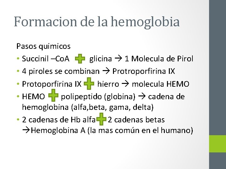 Formacion de la hemoglobia Pasos quimicos • Succinil –Co. A glicina 1 Molecula de