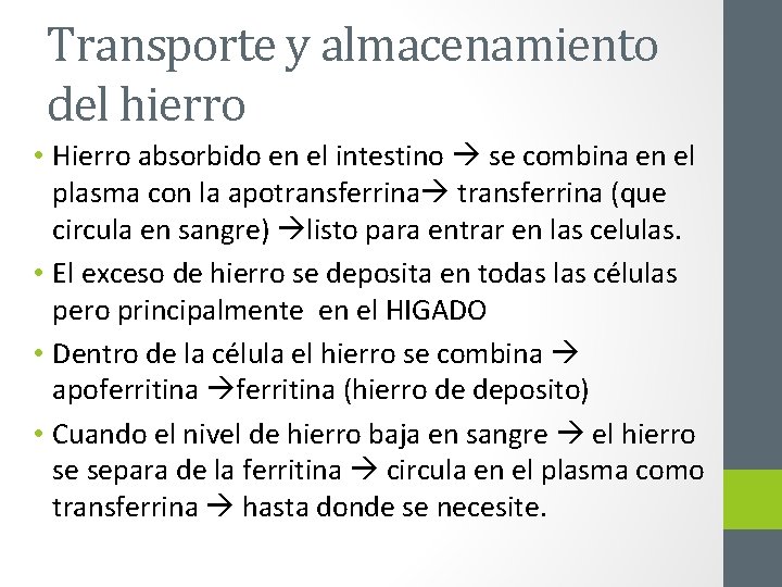 Transporte y almacenamiento del hierro • Hierro absorbido en el intestino se combina en