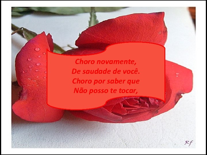 Choro novamente, De saudade de você. Choro por saber que Não posso te tocar,