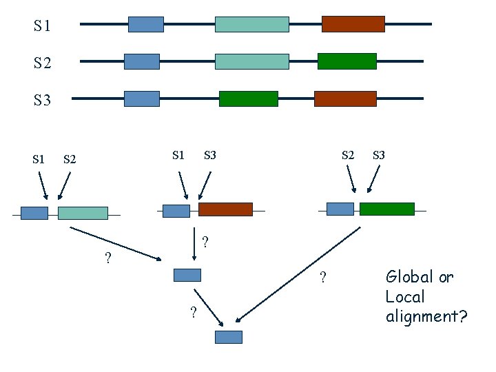 S 1 S 2 S 3 ? ? ? ? Global or Local alignment?