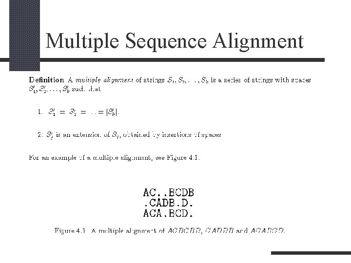 Multiple Sequence Alignment 
