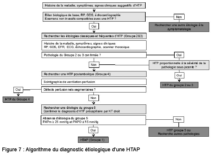 Figure 7 : Algorithme du diagnostic étiologique d'une HTAP 