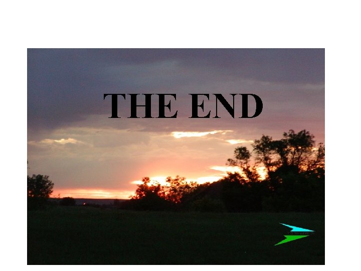 THE END 