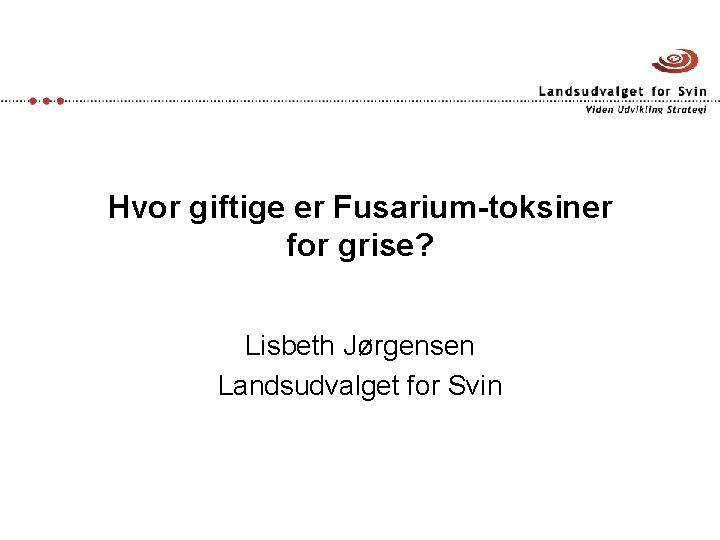 Hvor giftige er Fusarium-toksiner for grise? Lisbeth Jørgensen Landsudvalget for Svin 